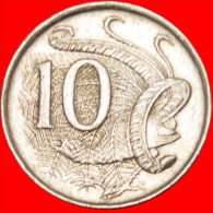 * LYRE BIRD (1966-2022): AUSTRALIA ★ 10 CENTS 1977! LOW START★ NO RESERVE! - 10 Cents