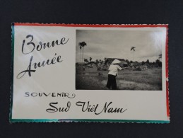 Sud Vietnam -  Carte Souvenir Du Sud Vietnam ( Pêcheur ) - 1950 - à Voir - Lot P14109 - Vietnam