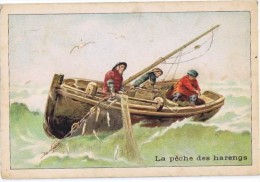 Cromo   LA PECHE DES HARENGS - Lombart