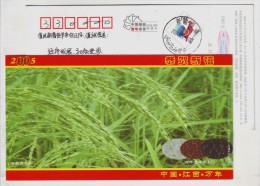 Rice Cultivation In Early Neolithic,CN 05 Wannian Prehistory Archaeology Cave Site Advert Pre-stamped Card - Archäologie