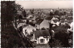 CPSM SAINT AMAND MONTROND CHER VUE GENERALE ED DU LYS 1955 - Saint-Amand-Montrond