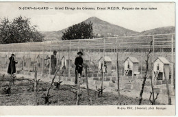 30. GARD - ST-JEAN DU GARD. Grand Elevage Des Cévennes , E. Mazin. Parquets Des Races Naines. - Saint-Jean-du-Gard