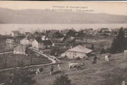 MALBUISSON     DOUBS 25   CPA  VUE GENERALE - Autres & Non Classés