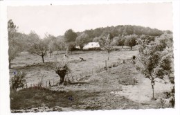 32453 -   St  Martens - Voeren  Fouron  St  Martin -  De  Komberg - Fourons - Vören