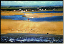 St. Peter-Ording  -  Strand  -  Luftbildaufnahme  -  Ansichtskarte  Ca. 1983    (5389) - St. Peter-Ording