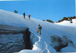 P3601 ARRAMPICATA, SCALATORI - GHIACCIAO DEL RUTOR CON PONTE DI GHIAGGIO - LA THUILE ( AOSTA ) - Escalade