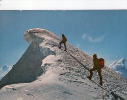 P3604 ARRAMPICATA, SCALATORI - VETTA DELLE GRANDE JORASSES - PUNTA WALKER - AOSTA - VIAGGIATA 1980 - Klimmen