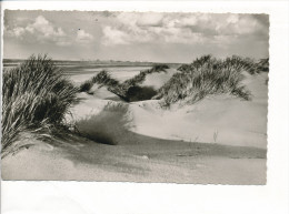 PK-CP Deutschland, Borkum, Gebraucht, Siehe Bilder! *) - Borkum