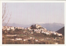 01/FG/15 - ISERNIA - COLLI A VOLTURNO - Panorama - Isernia