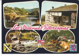 Les Ardennes Pittoresques - Collections & Lots