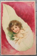 CPA Litho Fond Rose Art Nouveau ILLUSTRATEUR NS CLAPSADDLE Tete Enfant Ange Petale Fleur Dans Plume BLANCHE - Clapsaddle