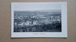 Cpa Belgique - Floreffe - Panorama - 1917 - Floreffe