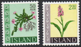 ISLAND - 2 Francobolli In Serie N.370 / 71 DEL 1968 NUOVI ** - Unused Stamps