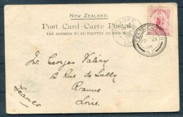 1906 New Zealand Diamond Lake, Wakatipu Postcard Featherston - Roanne, France - Briefe U. Dokumente