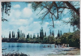 Nouvelle Calédonie - Ile Des Pins - Baie De Kanuméra - Nouvelle-Calédonie