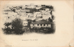 Algérie - MOSTAGANEM - CPA -  Vue De Tijdit - Mostaganem