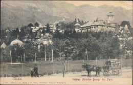 Romania - Sinaia-Vederea Muntilor Din Parc - Magazinul Ambulant G. MATEESCU. 1906 - Romania