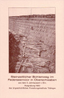 Bad Buchau - Steinzeitlicher Bohlenweg - Federseemoor Oberschwaben - Ausgrabung 1920 - Bad Buchau