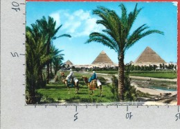 CARTOLINA NV EGITTO - The GIZA Pyramid Group - Le Piramidi Di GIZA - 10 X 15 - Piramiden