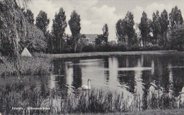 Emden - Schwanenteich 1954 - Emden