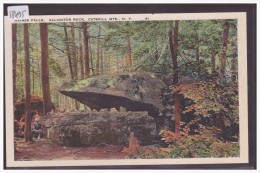 USA - CATSKILL - ALLIGATOR ROCK, HAINES FALLS - TB - Catskills