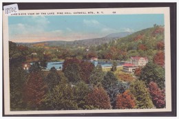 USA - CATSKILL - TB - Catskills