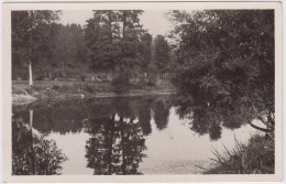 La Gacilly. Un Joli Coin Sur Les Bords De L'Aff. - La Gacilly