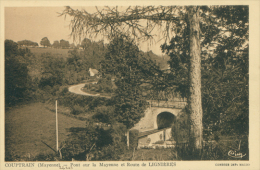 53 COUPTRAIN / Pont Sur La Mayenne Et Route De Lignières / - Couptrain