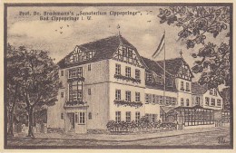 Bad Lippspringe - Prof Dr Brackmann´s Sanatorium - Bad Lippspringe