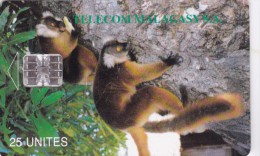 Madagascar,  MDG-12, Lemurs Of Madagascar, 2 Scans - Madagascar