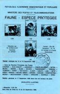 DZ 1988 - Philatelic Brochure Without Stamp WWF Protected Species Barbary Macaque (Macaca Sylvanus), Magot Singe - Cartas & Documentos