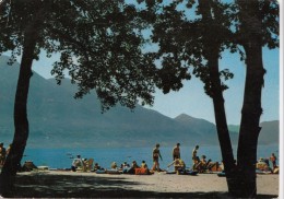 Switzerland, Suisse,  Camping "da Giorgio", Tenero / Svizzera, 1968 Used Postcard [16165] - Tenero-Contra
