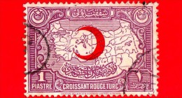 TURCHIA - Usato - 1928 - Mappa Della Turchia - Croissant Rouge Turc - POSTAL TAX STAMPS - 1 - Gebruikt