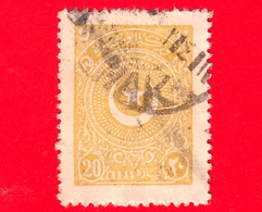 TURCHIA - Usato - 1924 - Stella E Mezzaluna - Crescent And Star - 20 - Used Stamps