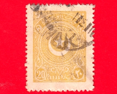 TURCHIA - Usato - 1924 - Stella E Mezzaluna - Crescent And Star - 20 - Gebraucht