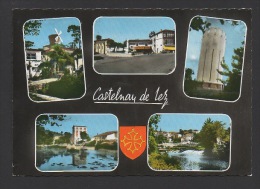 DF / 34 HERAULT / CASTELNAU LE LEZ / CARTE MULTIVUES - Castelnau Le Lez