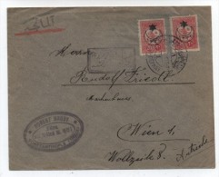 Turkey/Austria COVER 1916 - Brieven En Documenten