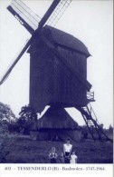 TESSENDERLO (Limburg) - Molen/moulin - Blauwe Prentkaart Ons Molenheem Van De Verdwenen Houten Baalmolen - Tessenderlo