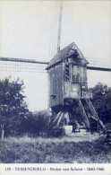 TESSENDERLO (Limburg) - Molen/moulin - Blauwe Prentkaart Ons Molenheem Van De Verdwenen Houten Molen Van Schoot - Tessenderlo