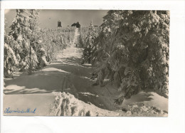 PK-CP Deutschland, Oberwiesenthal, Ungebraucht, Siehe Bilder!*) - Oberwiesenthal