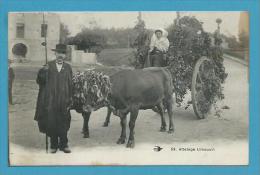 CPA Attemage Limousin BOEUFS 19 - Autres & Non Classés