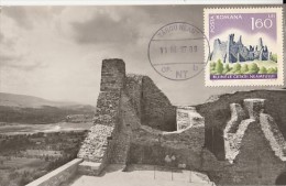 ARCHAEOLOGY, NEAMT FORTRESS RUINS, CM, MAXICARD, CARTES MAXIMUM, 1997, ROMANIA - Archaeology