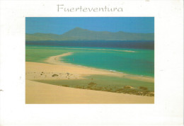 FUERTEVENTURA   BY REINER LOOS       MAXI-CARD  (VIAGGIATA) - Fuerteventura