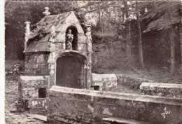 29 - DAOULAS - La Fontaine Sacrée En Granit. (CPSM) - Daoulas