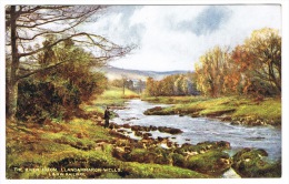 RB 1081 - L Ondon & N.W. Railway Postcard - River Ifron - Llancammarch Wells - Radnor Wales - Radnorshire