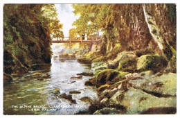 RB 1081 - L Ondon & N.W. Railway Postcard - The Alpine Bridge Llandrindod Wells - Radnor Wales - Radnorshire