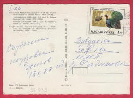 196039 / 1977 - 1 Ft.. - BIRD Congo Peafowl ( Afropavo Congensis ) , BUDAPEST - ST. STEPHEN STATUE , Hungary Ungarn - Covers & Documents