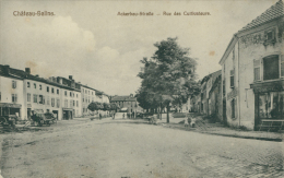 57 CHATEAU SALINS / Rue Des Cultivateurs / - Chateau Salins