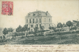 57 CHATEAU SALINS / Une Jolie Propriété / CARTE RARE - Chateau Salins