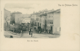 57 CHATEAU SALINS / Rue Des Fossés / CARTE RARE - Chateau Salins